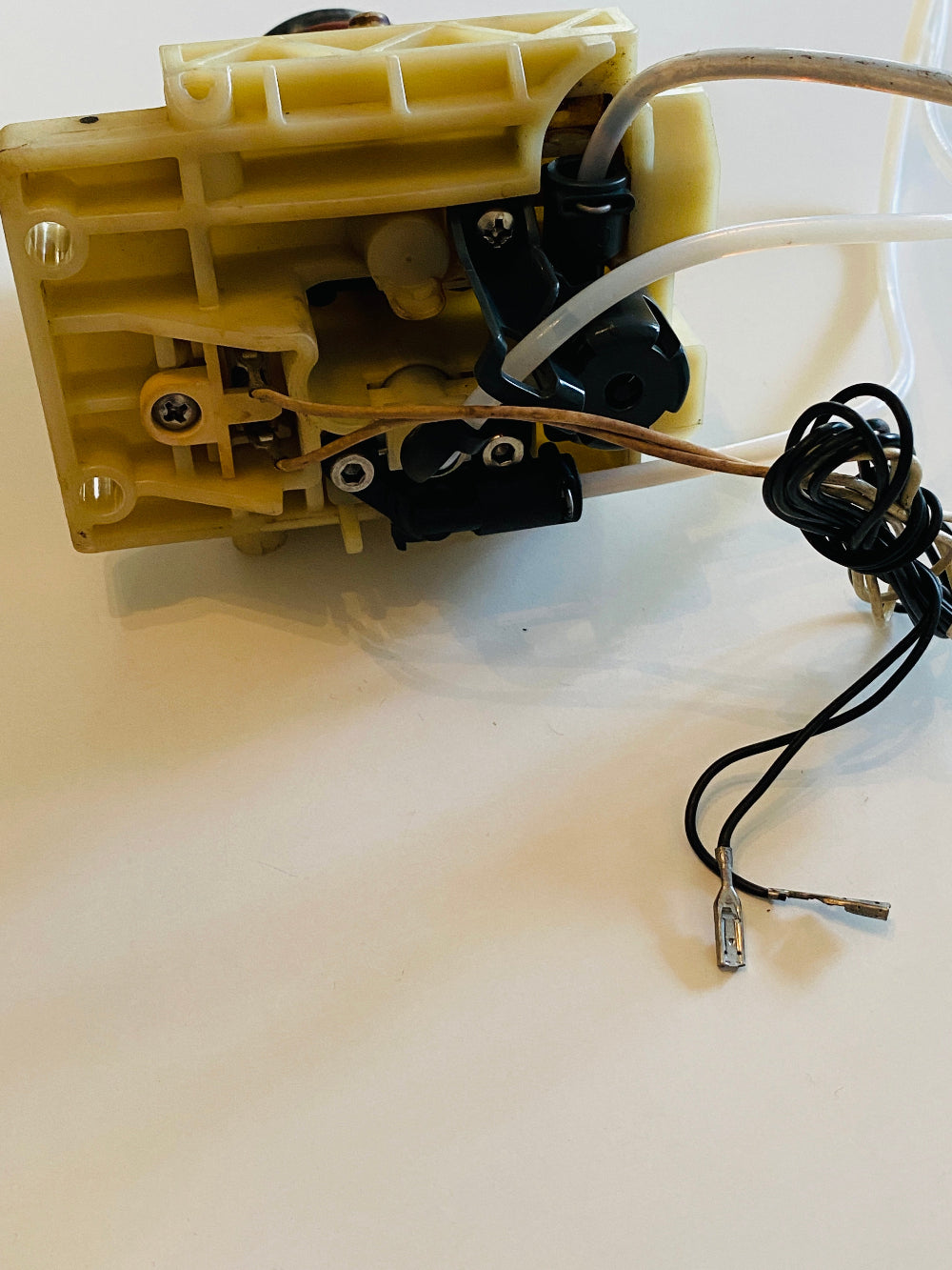 DeLonghi ECAM Brühkolben Brüheinheit 