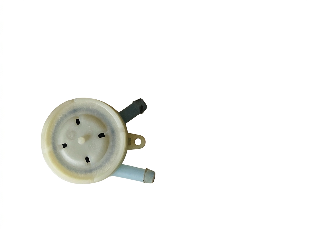 Pulsationsdämpfer vor der Wasserpumpe für Siemens EQ6 Serie EQ6 Plus  Serie